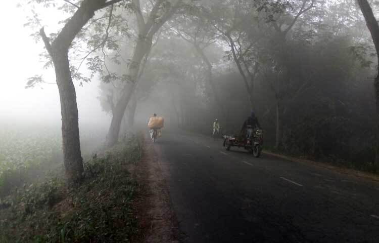 চুয়াডাঙ্গায় জেঁকে বসছে শীত। গত কয়েকদিন ধরে বিকেল থেকে তাপমাত্রা কমছে। আজ নেমেছে ১৪ দশমিক ২ ডিগ্রি সেলসিয়াসে। এ সময় বাতাসের আদ্রতা ছিল ৯২ শতাংশ। ছবি: হুসাইন মালিক