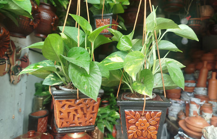 সিরামিক, প্লাস্টিক বা কাচের তৈরি সামগ্রী বাজার দখল করে নিয়েছে। তবু রুচিশীল সমাজে মাটির পণ্যের কদর এখনো আছে। কেউ ক্যাকটাস সাজানোর জন্য টব কিনছেন, কেউ ফুলদানি, কেউ আবার শো-পিস। কেউবা সৌখিনতার বাসায় খাবার প্লেট কিংবা মাটির ফিল্টার।