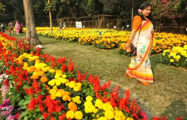 ফুলের বাগানগুলো এমনভাবে সাজানো হয়েছে, যেন হাঁটতে হাঁটতেই দর্শনার্থীরা রঙের ভেতর দিয়ে হেঁটে যাচ্ছেন।