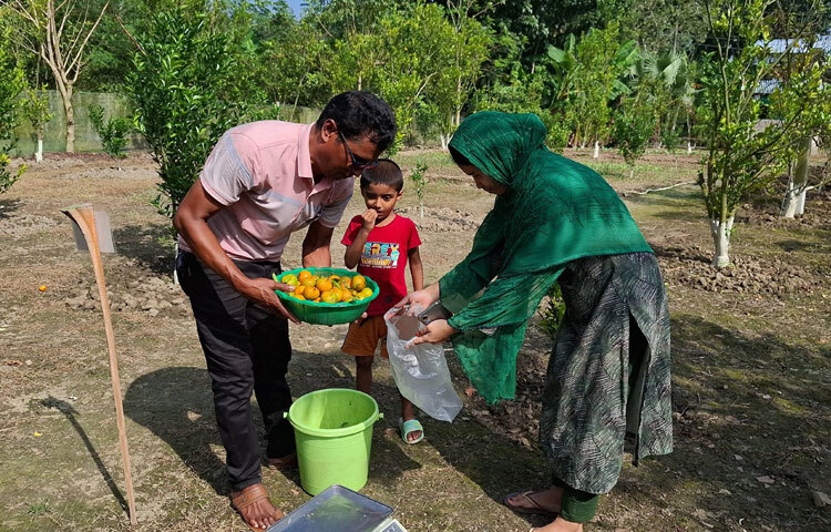 দর্শনার্থী ও ক্রেতারা বলছেন, সম্পূর্ণ বিষমুক্ত ও সুস্বাদু ফল হওয়ায় তারা বাগান থেকে ফল কিনছেন। তাছাড়া বাগান দেখতেও অনেক সুন্দর।