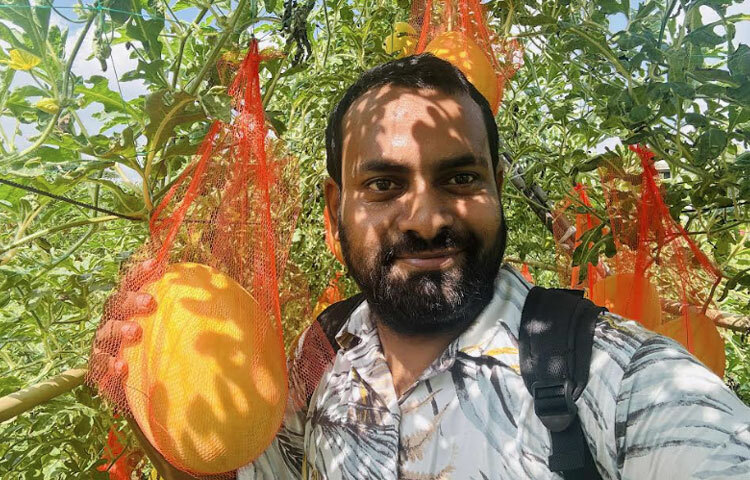 আগামী ১০-১৫ দিনের মধ্যে অন্যগুলোও বাজারজাত সম্ভব হবে। আমাদের পক্ষ থেকে তরমুজ চাষিদের সর্বোচ্চ সহযোগিতা করে যাচ্ছি। লাভজনক হওয়ায় ক্রমান্বয়ে গ্রীষ্মকালীন তরমুজ চাষি বাড়ছে। আগামীতে আরও বাড়বে বলে আশাবাদী