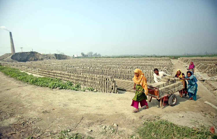 পুরুষের পাশাপাশি সমান তালে কাজ করে চলছেন নারী শ্রমিকরাও। ছবি: বিপ্লব দীক্ষিত