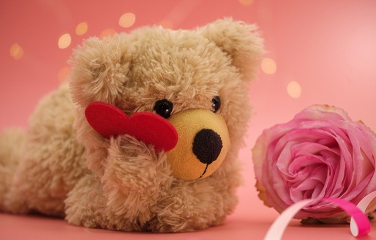 বিভিন্ন সূত্র থেকে প্রাপ্ত তথ্য অনুযায়ী, বিশ শতকের গোড়ার দিকে মার্কিন যুক্তরাষ্ট্রে প্রেসিডেন্ট থিওডোর রুজভেল্ট একবার শিকারে যান। শিকারের সময় একটি ভাল্লুককে দেখে তার মত বদলে ফেলেন। ছবি: সংগৃহীত