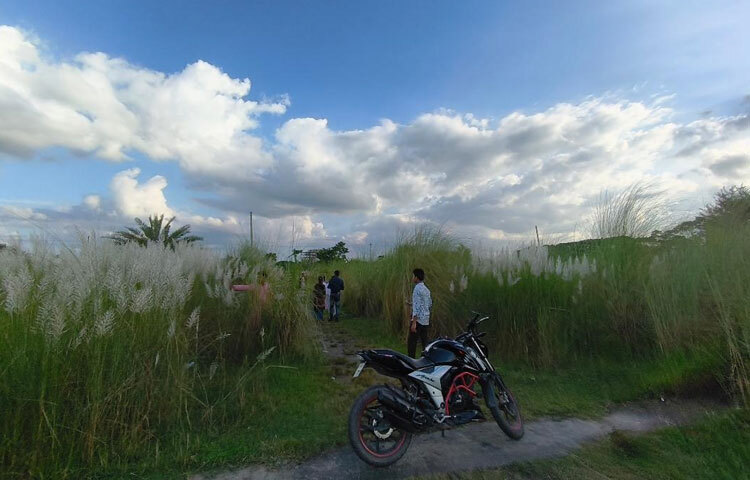 মাদারীপুর সদর উপজেলার চরমুগরিয়ার হাজরাপুরের ‘মাদারীপুর হাউজিং এস্টেট’ নামের বিশাল এলাকাজুড়ে ও মাদারীপুর-শরীয়তপুর আঞ্চলিক সড়কের মাদারীপুর সদর উপজেলার মহিষেরচর এলাকার বিসিক শিল্প নগরীর বিশাল জায়গাজুড়ে আছে দিগন্তজোড়া কাশবন। বিভিন্ন জায়গায় কাশফুল ফুটলেও এ দুটি স্থান উল্লেখ্যযোগ্য।