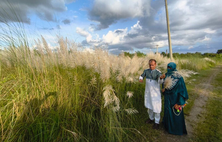 সবাই পরিবার নিয়ে কাশবনের ছবি তুলতে ব্যস্ত হয়ে পড়েন।