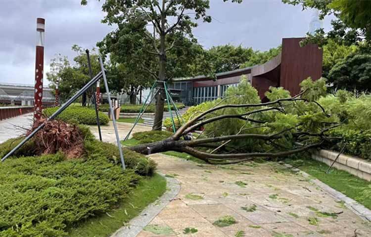 চীনে আঘাত হেনেছে ঘূর্ণিঝড় সাওলা। দেশটির দক্ষিণাঞ্চলীয় গুয়াংডং প্রদেশে ঘূর্ণিঝড়টি আঘাত হানে। এতে এখন পর্যন্ত একজনের মৃত্যুর খবর পাওয়া গেছে। ঘূর্ণিঝড়ের প্রভাবে বেশ কিছু এলাকায় বৃষ্টি ও আকস্মিক বন্যা পরিস্থিতি তৈরি হতে পারে বলে আশঙ্কা করা হচ্ছে। ছবি: সংগৃহীত