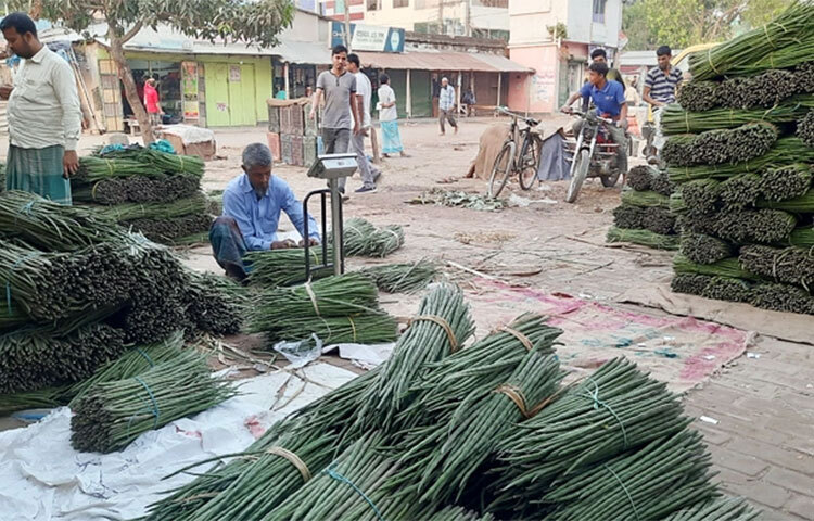 আবহাওয়া অনুকূলে থাকায় জয়পুরহাটে উৎপাদন বেড়েছে সজনে ডাঁটার। জেলার প্রত্যন্ত অঞ্চলের হাট-বাজারে প্রচুর পরিমাণে সজনে ডাঁটার দেখা মিলছে। প্রতিদিন জেলার বিভিন্ন অঞ্চলে যাচ্ছে সজনে ডাঁটা। ছবি: জাগো নিউজ