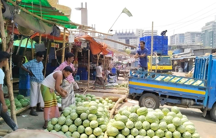 প্রায় দেড় মাস ধরে বাজারে তরমুজের পর্যাপ্ত সরবরাহ ছিল। রমজান মাস শুরু হলে তরমুজের চাহিদার পাশাপাশি সরবরাহ আরও বেড়ে যায়। রমজানের শুরুতে রাজধানী ঢাকার বিভিন্ন এলাকায় তরমুজের দাম প্রতি কেজি ৩০-৪০ টাকায় বিক্রি হয়। আকারভেদে প্রতি পিস তরমুজের দাম তখন ১৫০ থেকে ৪০০ টাকার মধ্যে ছিল। ছবি: ইয়াসির আরাফাত