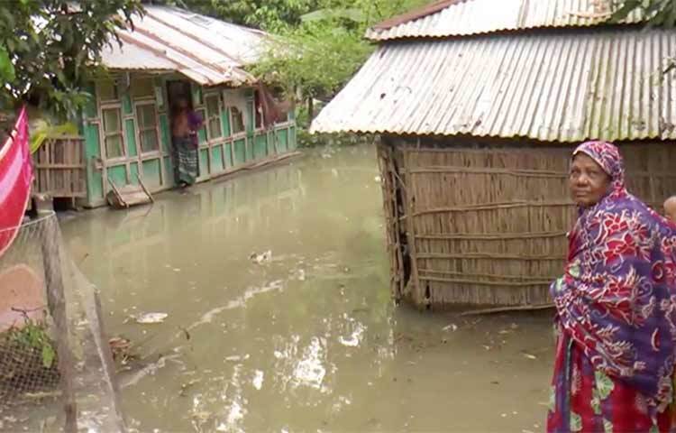 নিম্নচাপ ও পূর্ণিমার প্রভাবে ভোলার মেঘনা ও তেঁতুলিয়া নদীর পানি বিপৎসীমার ওপর দিয়ে প্রভাবিত হচ্ছে। জোয়ারের পানিতে নিম্নাঞ্চলের ১৫টি গ্রাম প্লাবিত হয়েছে। দৈনিক দুইবার ৪-৫ ঘণ্টা পানিবন্দি থাকতে হচ্ছে প্রায় ১৬ হাজার মানুষকে। তলিয়ে গেছে বসতঘর, রাস্তাঘাট ও ফসলি জমি। ছবি: জাগো নিউজ