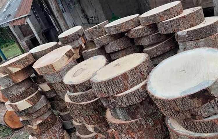 কোরবানির পশুর মাংস ও হাড় কাটার জন্য শক্ত কাঠের তৈরি খাইট্টার ব্যবহারই জনপ্রিয়। তাই ঈদুল আজহাকে সামনে রেখে ফরিদপুরের বিভিন্ন উপজেলার হাট-বাজারে খাইট্টা ব্যবসায়ীদের ব্যস্ততা বেড়েছে। ছবি: জাগো নিউজ