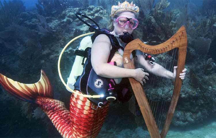 সমুদ্রের প্রবাল রক্ষায় জনসচেতনতা সৃষ্টিতে ব্যতিক্রমধর্মী কনসার্টের আয়োজন করা হয় যুক্তরাষ্ট্রের ফ্লোরিডা অঙ্গরাজ্যে। এটি আর দশটি সাধারণ কনসার্টের মতো নয়, কারণ এর আয়োজন করা হয় সমুদ্রের তলদেশে। ছবি: সংগৃহীত