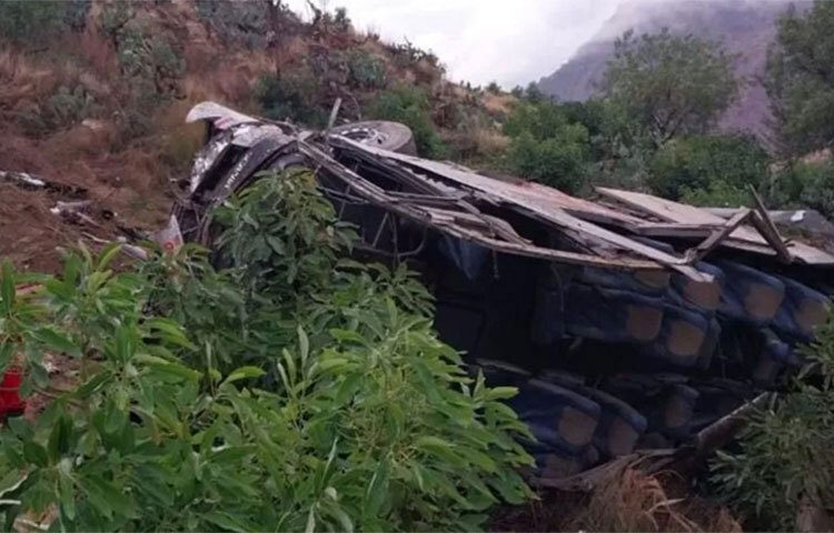 পেরুতে একটি বাস খাদে পড়ে কমপক্ষে ২৪ জন নিহত হয়েছে। আহত হয়েছে আরও ২১ জন। বাসটি রাতের বেলা পেরুর হুয়ানকায়ো থেকে হুয়ান্তা শহরের মধ্যবর্তী আন্দিজ পর্বতমালার রাস্তা দিয়ে যাওয়ার সময় ৬৫০ ফুট গভীর খাদে পড়ে যায়। এতে ওই হতাহতের ঘটনা ঘটে। ছবি: জাগো নিউজ