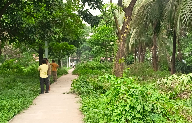 দীর্ঘদিন ধরে সংস্কার না করায় রাজধানীর ওসমানী স্মৃতি উদ্যানটি জঙ্গলে পরিণত হয়েছে। ফলে পার্কটির সৌন্দর্য নষ্ট হচ্ছে। ছবি: বিপ্লব দিক্ষিৎ