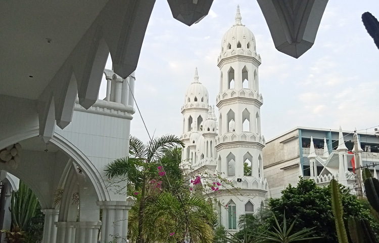 প্রতিদিন অসংখ্য দর্শনার্থী আসেন দৃষ্টিনন্দন এই মসজিদের সৌন্দর্য অবলোকন করতে।