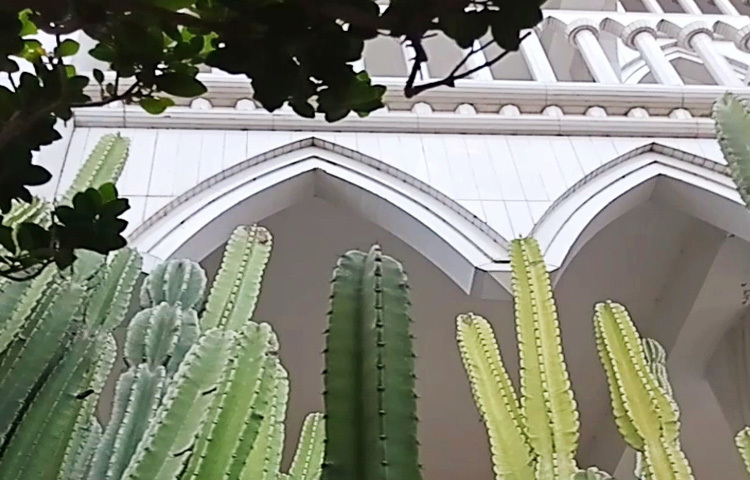 মসজিদের ভেতরে ঢুকতেই চোখে পড়বে বড় বড় ক্যাকটাস গাছ।