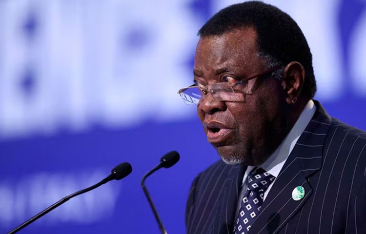 দক্ষিণ আফ্রিকার দেশ নামিবিয়ার প্রেসিডেন্ট হেগ গেইনগব মারা গেছেন। ছবি: সংগৃহীত