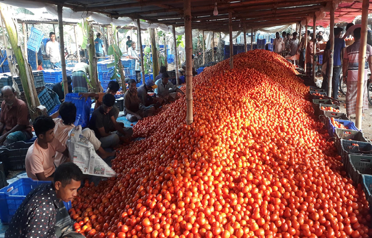 রাত ৩টা থেকে শুরু করে এই বাজার চলে সকাল ৯টা পর্যন্ত। ছবি: এমদাদুল হক মিলন