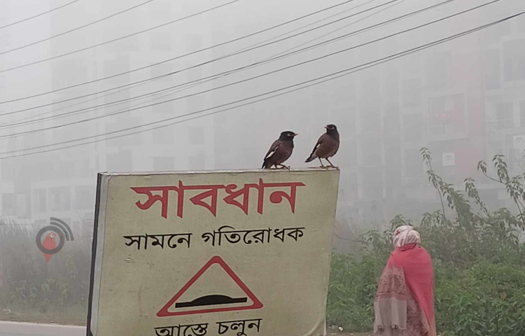 কুয়াশাচ্ছন্ন রাজধানীর সকাল বেলা। ছবি: মাহবুব আলম