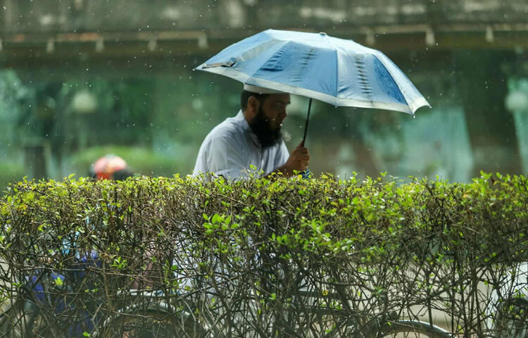 বৃষ্টির টুপটাপ শব্দ, ভিজে মাটি আর ঠান্ডা বাতাস মিলিয়ে শহরটা যেন নতুন রূপে সেজেছে।