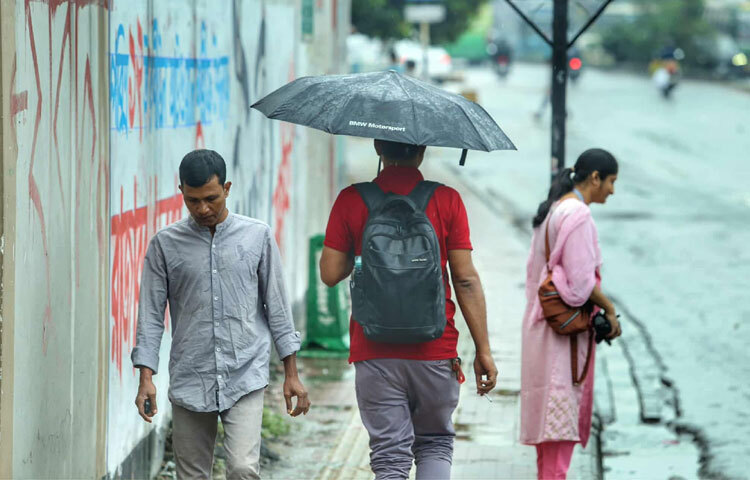 শহরের প্রতিদিনের ক্লান্তি ও যান্ত্রিকতার ভিড়ে এমন দিন খুব একটা আসে না। তাই আজকের ঢাকার এই শান্ত সকাল অনেকের কাছেই হয়ে উঠেছে এক অনন্য অভিজ্ঞতা। ঝিরিঝিরি বৃষ্টি, ছুটির নীরবতা আর স্বস্তির আবহ মিলিয়ে রাজধানী যেন আজ নতুন করে নিঃশ্বাস নিচ্ছে।