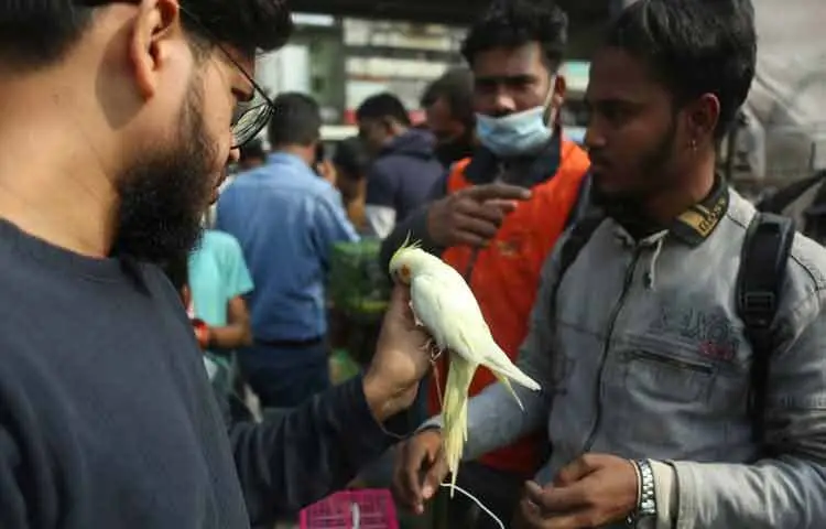 দুপুর গড়িয়ে বিকেল নামার সঙ্গে সঙ্গে ধীরে ধীরে হাটের কোলাহল কমতে থাকে।