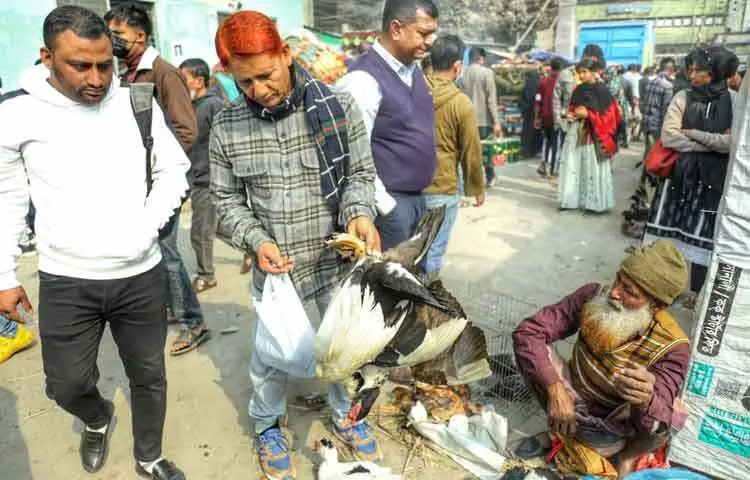 বিশেষ করে শীত মৌসুমে এই হাটের মূল আকর্ষণ হয়ে ওঠে হাঁস। শীতের সময় হাঁসের মাংসের চাহিদা বেড়ে যাওয়ায় বিক্রেতাদের মুখে থাকে বাড়তি হাসি।