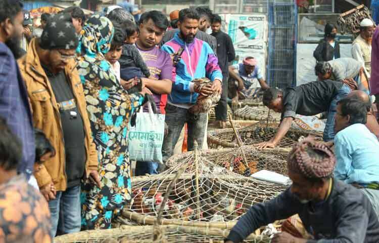 খাঁচার ভেতর সাজানো সাদা, কালো কিংবা ছোপছোপ কবুতর যেমন কৌতূহলী দৃষ্টি টানে, তেমনি আলাদা জায়গা জুড়ে হাঁসের সারি তৈরি করে আলাদা এক ব্যস্ততা।