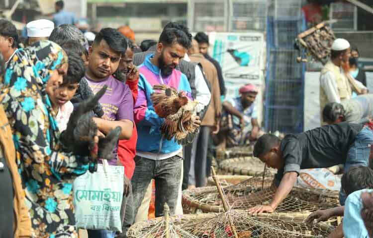 তবে রোববারের এই সরগরম পরিবেশ টঙ্গী বাজারে সপ্তাহজুড়ে থেকে যায় আলোচনার রেশ হয়ে, পরের হাটের অপেক্ষায়।