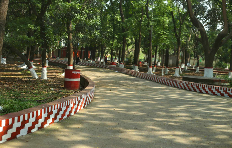 দর্শনার্থীদের আকৃষ্ট করতে চিড়িয়াখানাটিকে নতুন রূপে সাজানো হচ্ছে। একই সঙ্গে নিরাপত্তাব্যবস্থা জোরদারের প্রস্তুতি নেওয়া হচ্ছে। ছবি: মাহবুব আলম