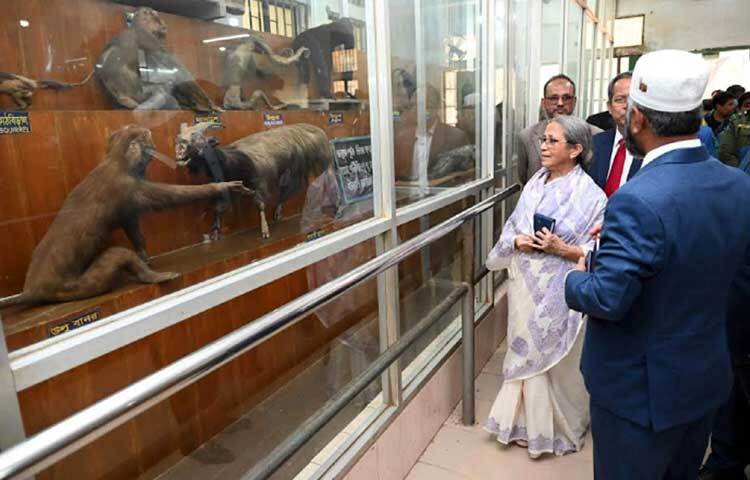 ঢাকায় মিরপুরে বাংলাদেশ জাতীয় চিড়িয়াখানার বর্তমান অবস্থা ও ভবিষ্যৎ পরিকল্পনা বিষয়ক অবহিতকরণ সভা শেষে চিড়িয়াখানা জাদুঘর ঘুরে দেখেন মৎস্য ও প্রাণিসম্পদ উপদেষ্টা ফরিদা আখতার। ছবি: পিআইডি