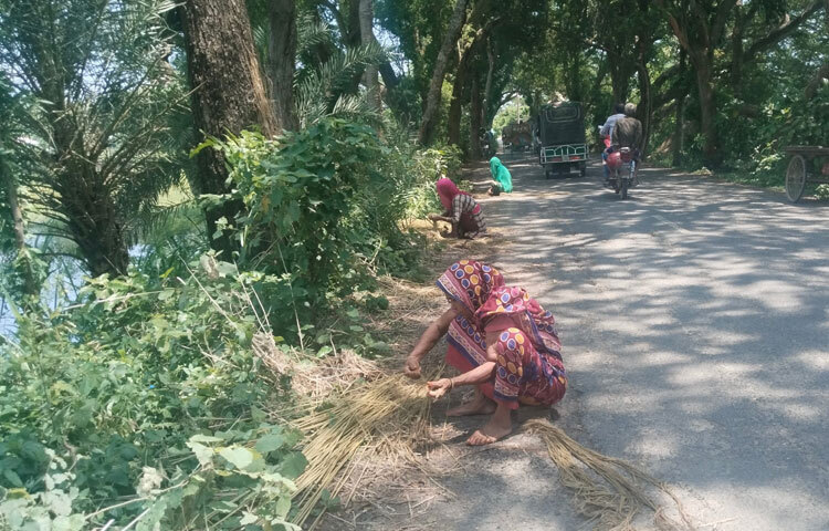 এ বছর পাটের দাম ভালো। আশা করছি কৃষকেরা উৎপাদন খরচ তুলেও কিছুটা লাভের মুখ দেখবেন। এ বছর কৃষক লাভবান হলে আগামীবার চাষ আরও বাড়বে।