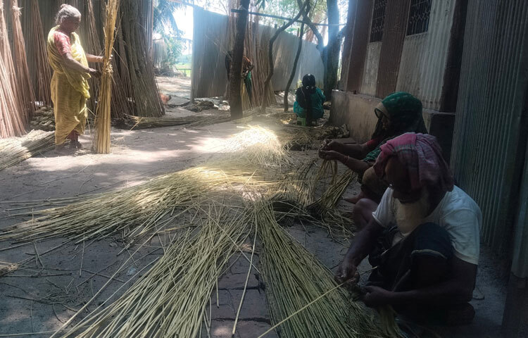 পাট থেকে সোনালি আঁশ ছাড়াতে ব্যস্ত সময় কাটাচ্ছেন চাষিরা। তাদের সঙ্গে পরিবারের নারী সদস্যরাও সহযোগিতা করছেন।