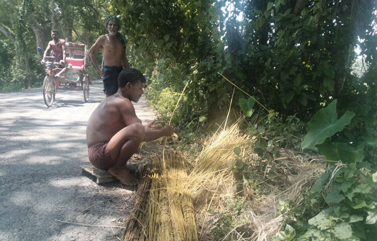 সদর উপজেলার নবগ্রাম এলাকার রাস্তার পাশের খালে পাট জাগ দিয়ে রাখা হয়েছে। সেখান থেকে পাট তুলে রাস্তার পাশে বসে আঁশ ছাড়ানোর কাজ করছেন তারা।