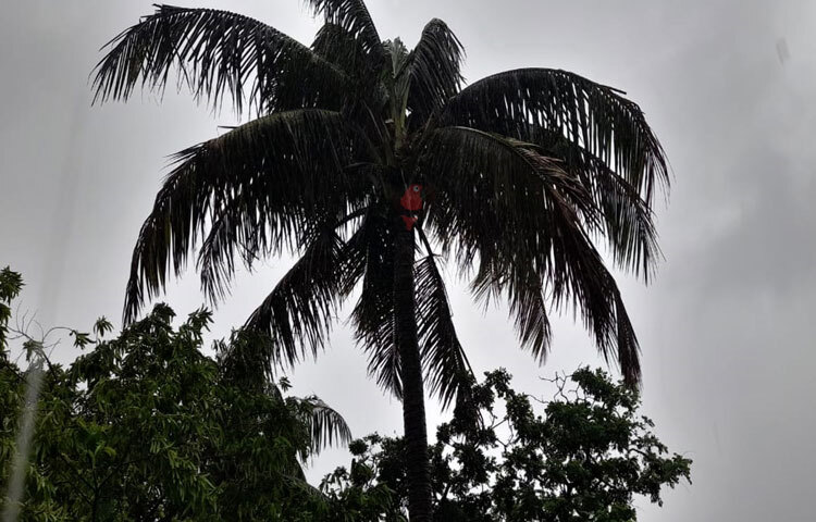 রোববার রাত থেকে শুরু হওয়া ঝড়-বৃষ্টি আজও অব্যাহত রয়েছে। ছবি: এন কে বি নয়ন
