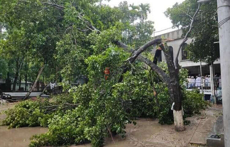 এছাড়া সদরপুর উপজেলার চর নাসিরপুরে ৪-৫ কিলোমিটার কাঁচা রাস্তা ক্ষতিগ্রস্ত হয়েছে। ছবি: এন কে বি নয়ন