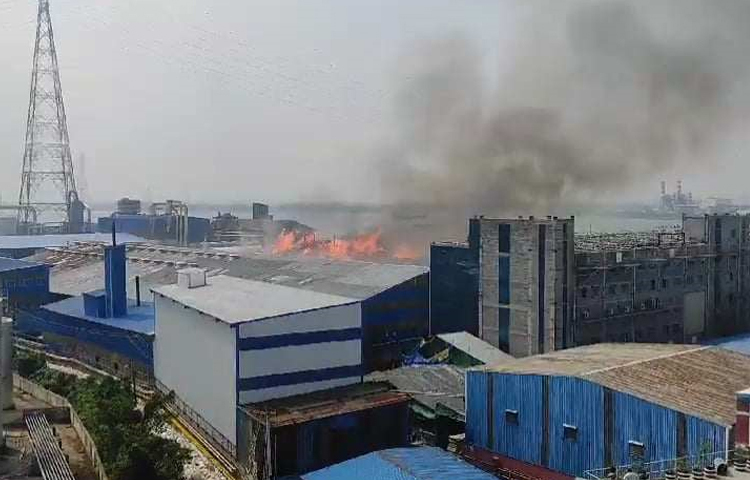 মুন্সিগঞ্জের গজারিয়ায় সুপারবোর্ড নামে বোর্ড তৈরির একটি কারখানায় ভয়াবহ অগ্নিকাণ্ডের ঘটনা ঘটেছে। ছবি: আরাফাত রায়হান সাকিব