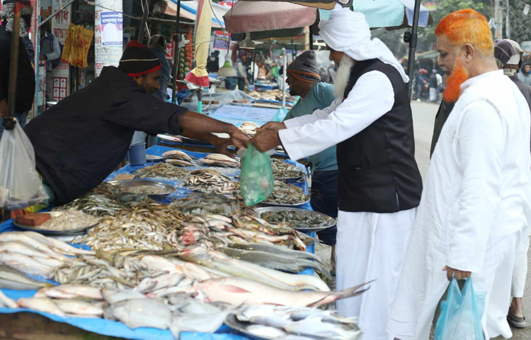 হাওর-বাওরের পানি শুকিয়ে যাওয়ায় বাজারে পাওয়া যাচ্ছে দেশি কৈ, শোল, বাইম, গুতুম, পুটি মাছ। রাজধানীর মেরাদিয়া বাজারে কৈ মাছ বিক্রি হচ্ছে ৬০০ থেকে ১০০০ হাজার, শোল ৫৫০, বাইম ১০০০, গুতম ১২০০ টাকা কেজি দরে। ছবি: মাহবুব আলম