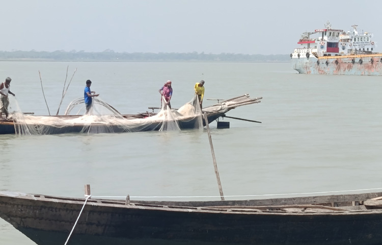 চাল না পেয়ে কেউ কেউ সংসার ও এনজিওর কিস্তি চালাতে প্রশাসনের চোখ ফাঁকি দিয়ে নদীতে নামছেন ইলিশ ধরতে।