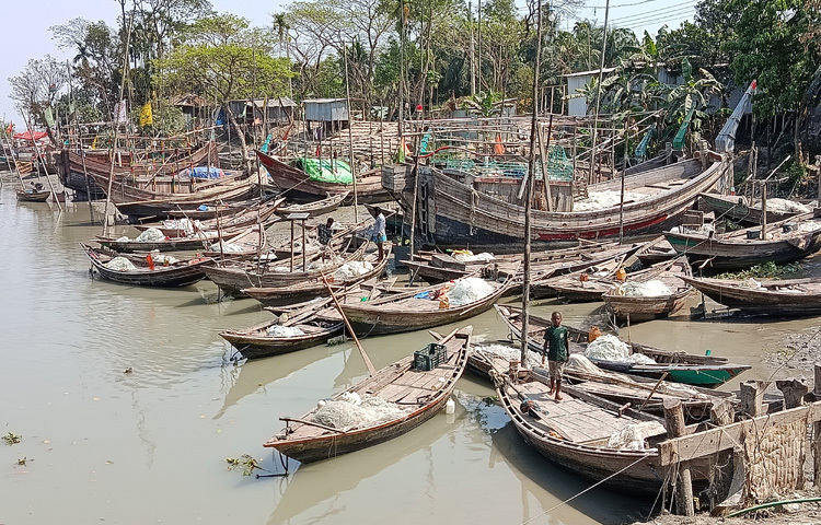 মেঘনা ও তেঁতুলিয়া নদীতে নিষেধাজ্ঞা অমান্য করে মাছ শিকার করা একাধিক জেলে নাম না প্রকাশ করে বলেন, ‘অভিযানের এই কয়দিন আমরা নদীতে নামি নাই। এহনতো ঘরের চাউল কিনতে হইতো, সংসার চালাতে হইতো, এনজিওর কিস্তি পরিশোধ করতে হইতো। এই কারণে প্রশাসনের চোখ ফাঁকি দিয়া নদীতে যাইয়া মাছ ধরতেছি।’