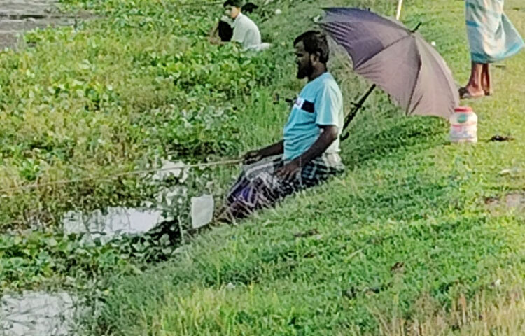কালীগঞ্জ উপজেলার বেলাই বিল, আফাইন্নার বিল, অন্যান্য জলাশয় ও শীতলক্ষ্যা নদীতে অক্টোবর থেকে মার্চ পর্যন্ত চলে এই ‘বড়শি মৌসুম’। সকাল থেকেই ডিঙি নৌকা, বাঁশের চেয়ার, ছাতা, টিফিনবক্স-সব নিয়ে হাজির হন শিকারিরা।