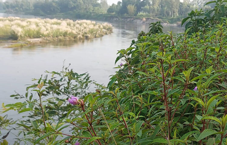 বর্তমানে জেলায় দিনে ২৮ থেকে ২৯ এবং রাতে ২৪ থেকে ২৫ ডিগ্রি সেলসিয়াস তাপমাত্রা বিরাজ করছে। রাতে গায়ে হালকা কাঁথা জড়িয়ে ঘুমাতে হচ্ছে স্থানীয়দের। এছাড়া ভোরের ফসলের মাঠ, ঘাস আর গাছগাছালির ওপর জমে থাকা শিশির বিন্দু জানান দেয় শীতের আগমনি বার্তা।