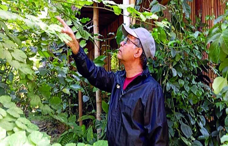 বনের অভ্যন্তরে প্রবেশ করলে দেখা মেলে ১২০ প্রজাতির গাছ ও লতা-গুল্মের মনোমুগ্ধকর সমাবেশ। প্রকৃতির এ জীবন্ত প্রদর্শনী যেন গাছের এক জাদুঘর।