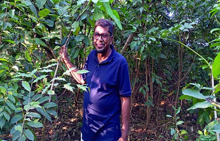 টিলাশ্রেণির মাটির কোল ঘেঁষে চার হাজার ৪০০ বর্গফুটের বনটি পরিকল্পিতভাবে সাজানো হয়েছে।