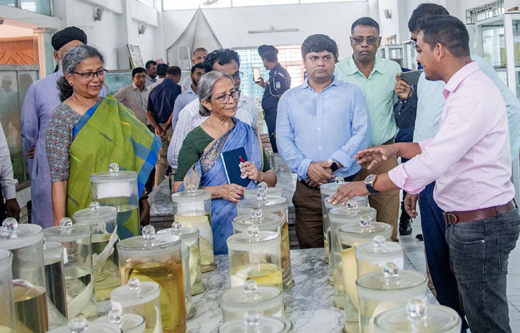 ময়মনসিংহে বাংলাদেশ মৎস্য গবেষণা ইনস্টিটিউটে ফিস মিউজিয়াম পরিদর্শন করেন মৎস্য ও প্রাণিসম্পদ উপদেষ্টা ফরিদা আখতার। ছবি: পিআইডি
