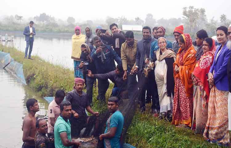 খুলনার ডুমুরিয়ায় গুটুদিয়ার বড়ডাঙ্গায় সংরক্ষিত চিংড়ি চাষ এলাকা পরিদর্শন করেন মৎস্য ও প্রাণিসম্পদ উপদেষ্টা ফরিদা আখতার। ছবি: পিআইডি