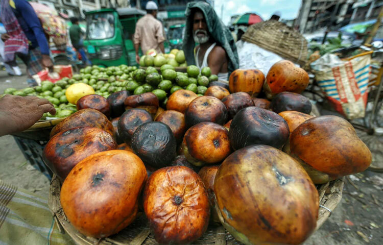 প্রতি পিস তাল পাওয়া যাচ্ছে মাত্র ১০ টাকায়।