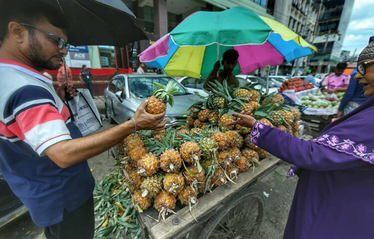 প্রতি পিস আনারস বিক্রি হচ্ছে ৪০ টাকায়। টক-মিষ্টি স্বাদের এই ফল পুষ্টিগুণে ভরপুর।