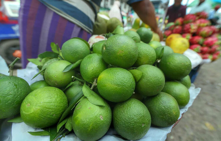 টক জাতীয় ফল শরীরের রোগ প্রতিরোধ ক্ষমতা বাড়াতে সহায়ক। এসব ফল ভিটামিন সি সমৃদ্ধ, যা শরীরকে ফ্রি র্যাডিক্যালস এবং ইনফেকশনের বিরুদ্ধে প্রতিরোধ গড়ে তুলতে সাহায্য করে। ফল হিসেবে পেঁপে, জাম্বুরা, পেয়ারা, আনারস এগুলো যথেষ্ট জনপ্রিয় এবং স্বাস্থ্য উপকারিতায় পূর্ণ।