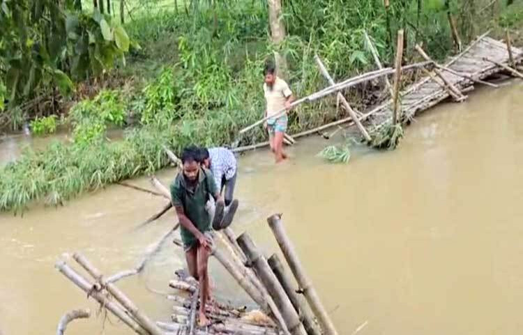 ফেনীর ফুলগাজী উপজেলার কমুয়া-জাম্মুড়া সড়কের সিলোনিয়া নদীর ওপর সাঁকোটি পানির তোড়ে ভেঙে যায়। এতে ভোগান্তিতে পড়েছেন হাজারো বাসিন্দা। ছবি: আবদুল্লাহ আল-মামুন