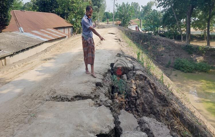 গাইবান্ধার সাঘাটায় যমুনা নদীর তীরে বালুমাটি দিয়ে বাঁধ সংস্কারের অভিযোগ উঠেছে। এতে বন্যা নিয়ন্ত্রণ বাঁধের বিভিন্ন স্থানে গর্ত ও ধস দেখা দিয়েছে। মাটির বদলে বালু দিয়ে বাঁধ নির্মাণ করায় ধসে গেছে সেটি। এখন ধসে যাওয়া ঝুঁকিপূর্ণ বাঁধের ওপর দিয়েই পথচারী ও যান চলাচল করছে। তবে ক্ষতিগ্রস্ত বাঁধ মেরামতের কোনো উদ্যোগ নেই। ছবি: আনোয়ার আল শামীম